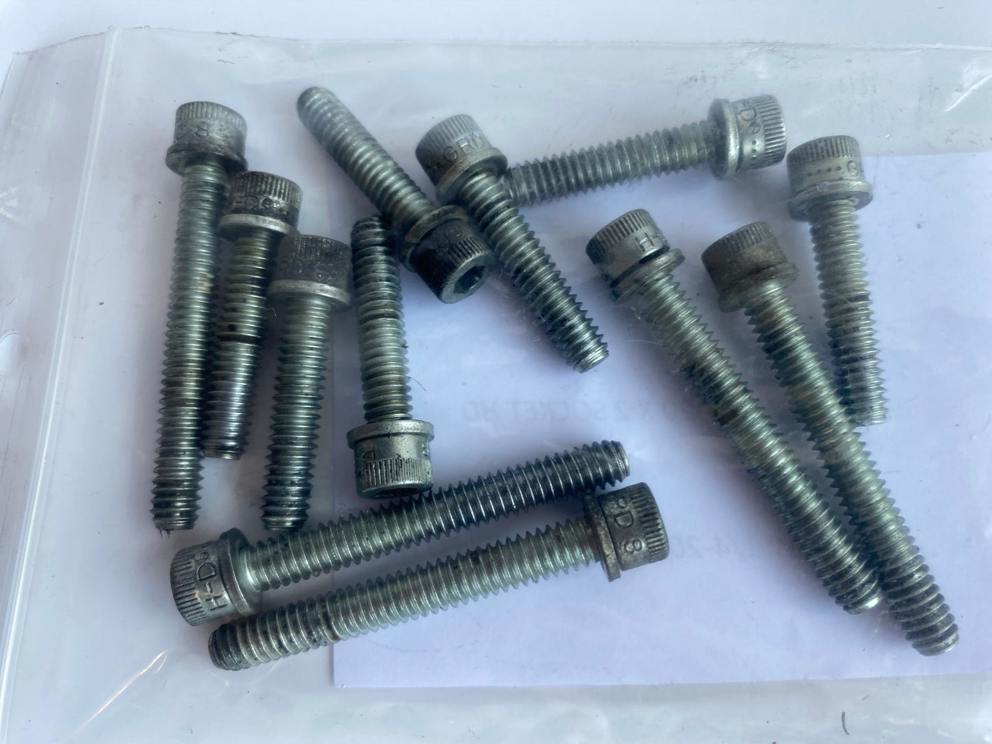 Jeu de 12 vis BTR carter primaire Harley Davidson REF OEM 4820A & 4740A
