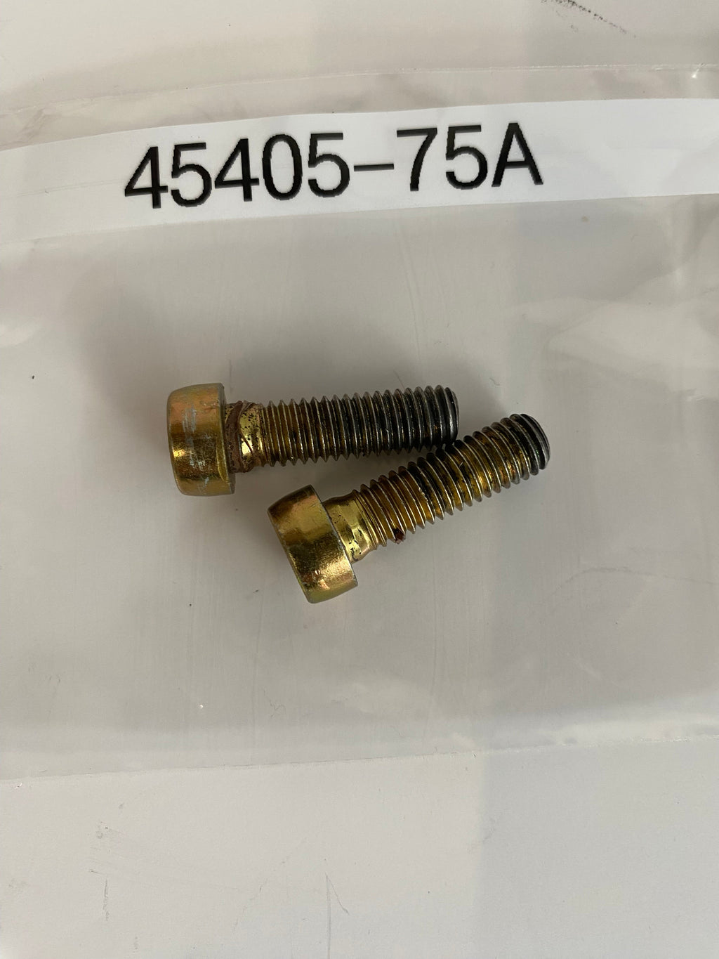 BTR-Schraube Tauchrohr Gabel 39 mm und 41 mm Harley Davidson REF OEM 45405-75A