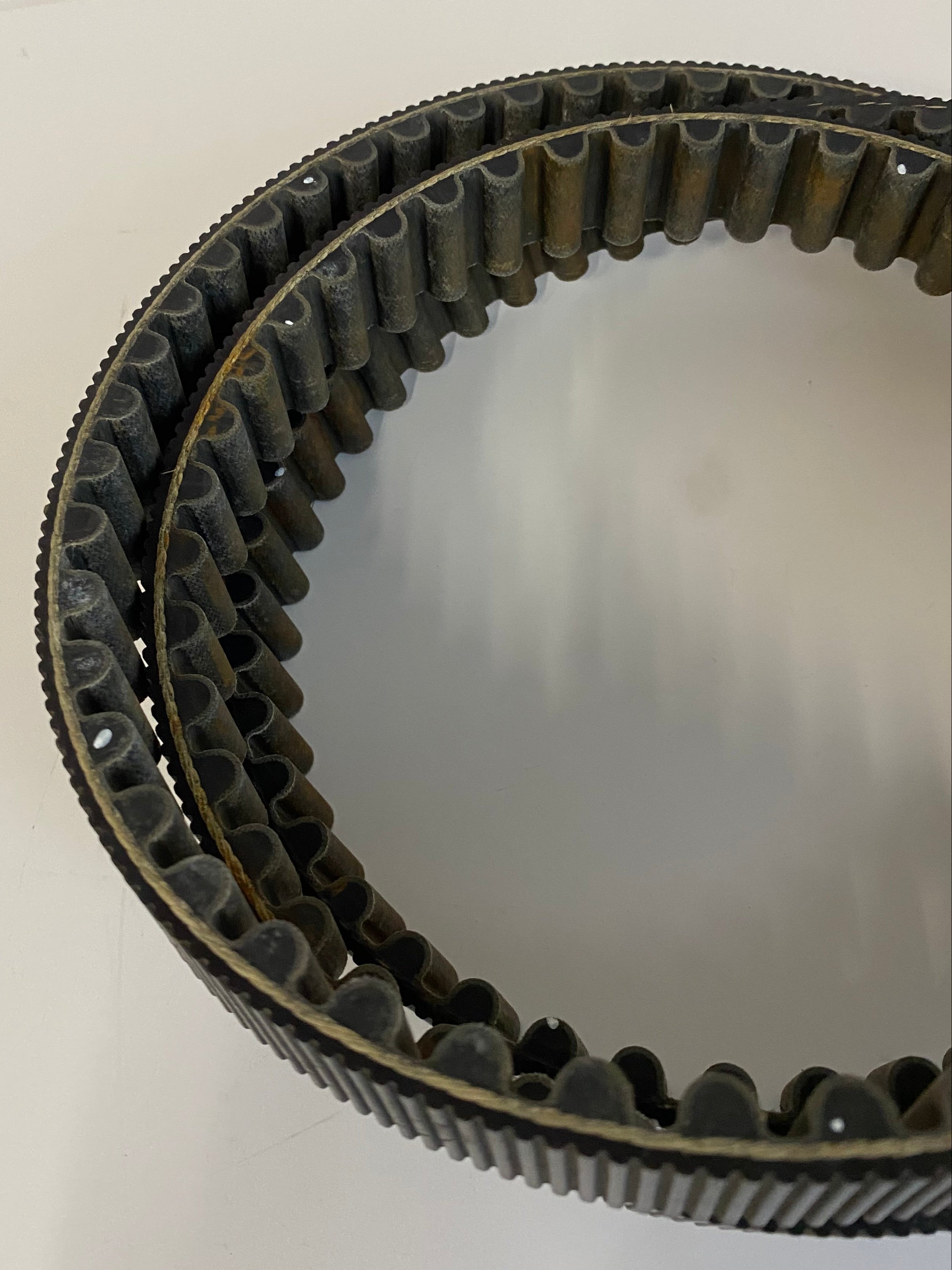 Courroie secondaire 136 dents  Harley Davidson REF OEM : 40570-04B