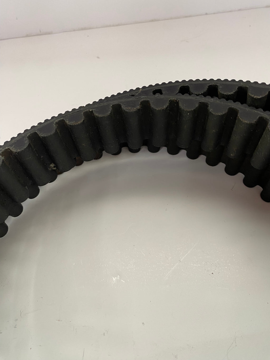 Courroie secondaire 137 dents Sportster Harley Davidson REF OEM 40571-04B