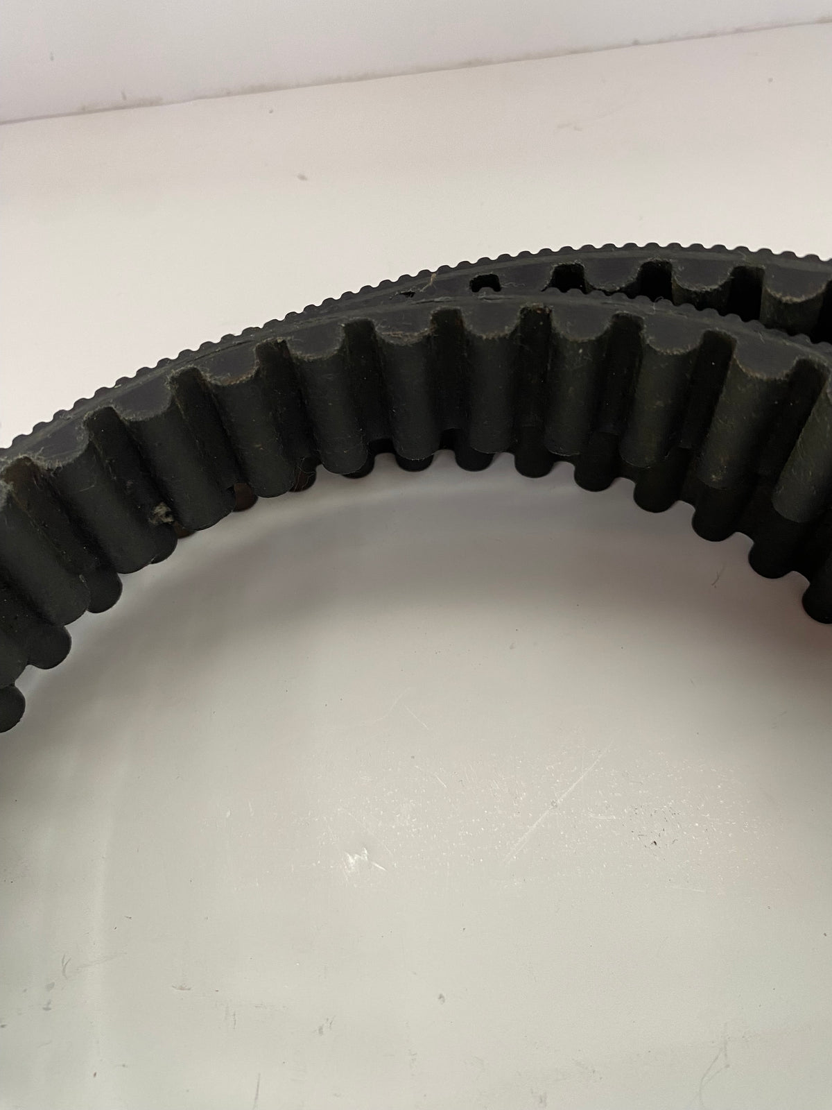Courroie secondaire 137 dents Sportster Harley Davidson REF OEM 40571-04B