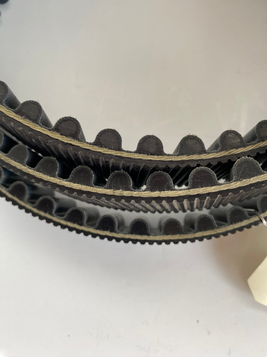 Courroie de transmission secondaire VRSC Harley Davidson REF OEM 40105-04