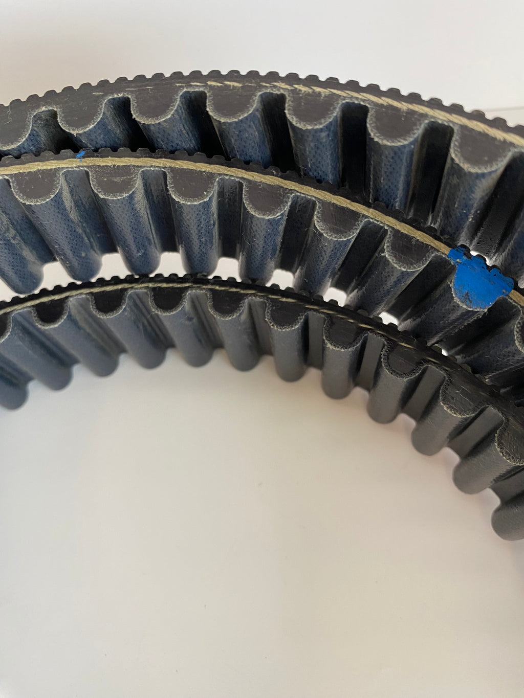 Courroie de transmission secondaire VRSC Harley Davidson REF OEM 40105-04