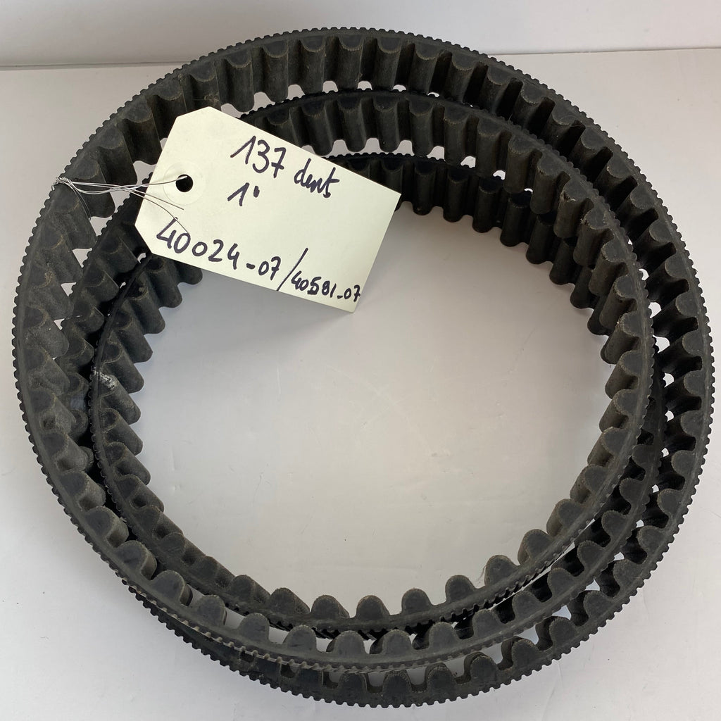 Courroie secondaire 137 dents Harley Davidson REF OEM 40024-07 & 40591-07