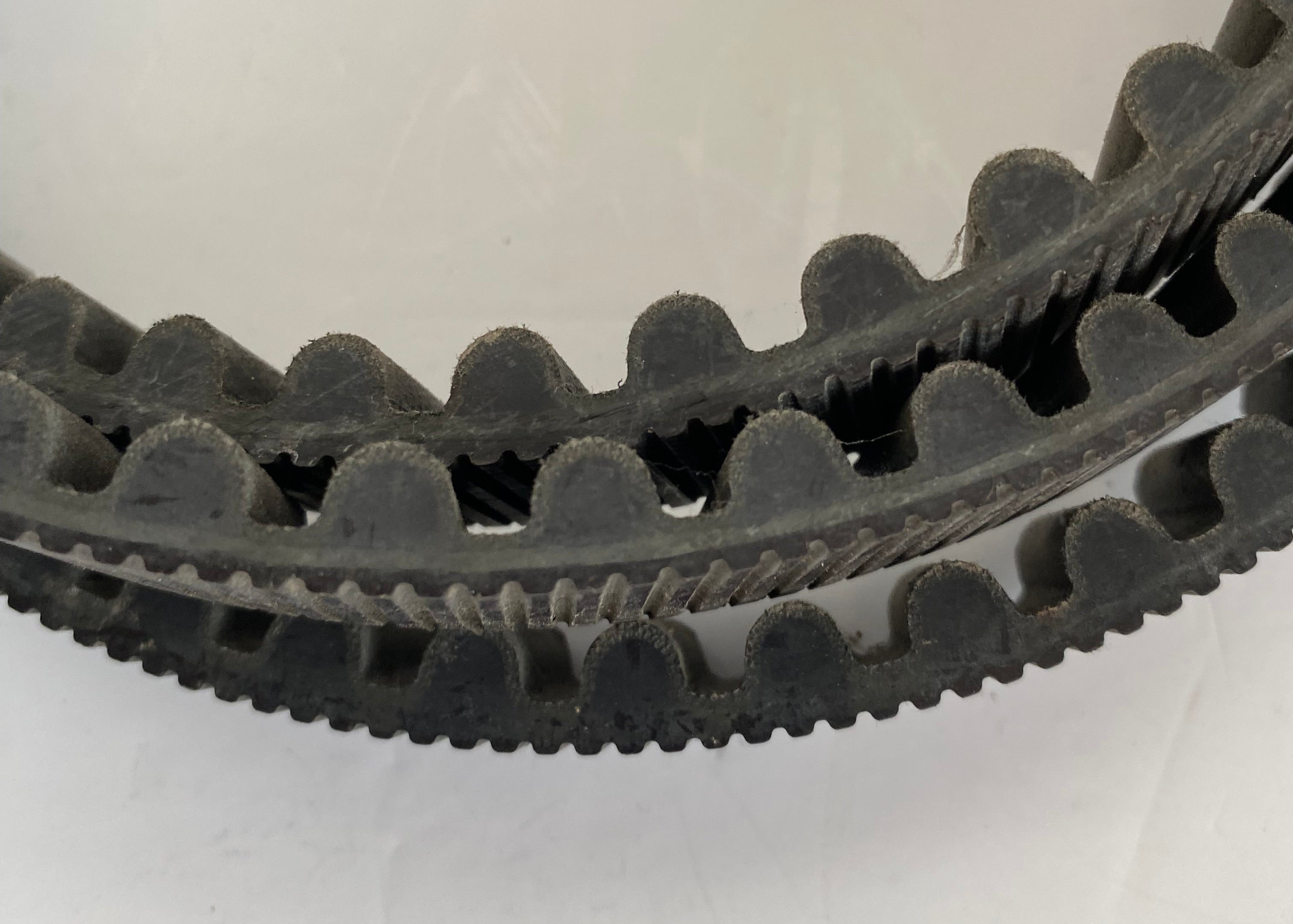 Courroie secondaire 137 dents Harley Davidson REF OEM 40024-07 & 40591-07