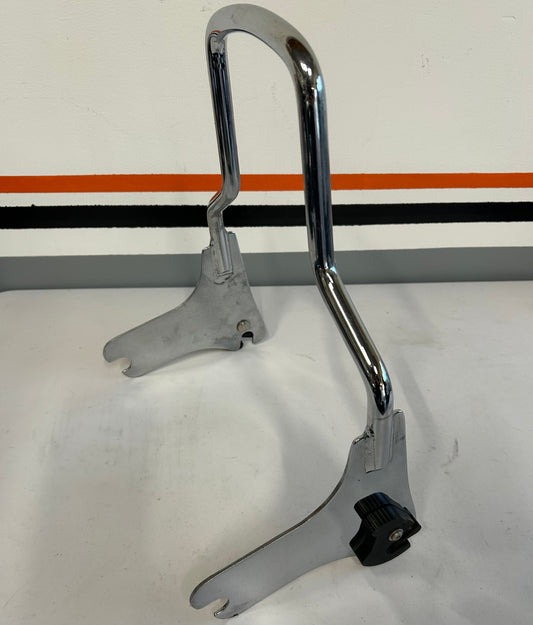 Harley Davidson Touring Detachable Sissy Bar