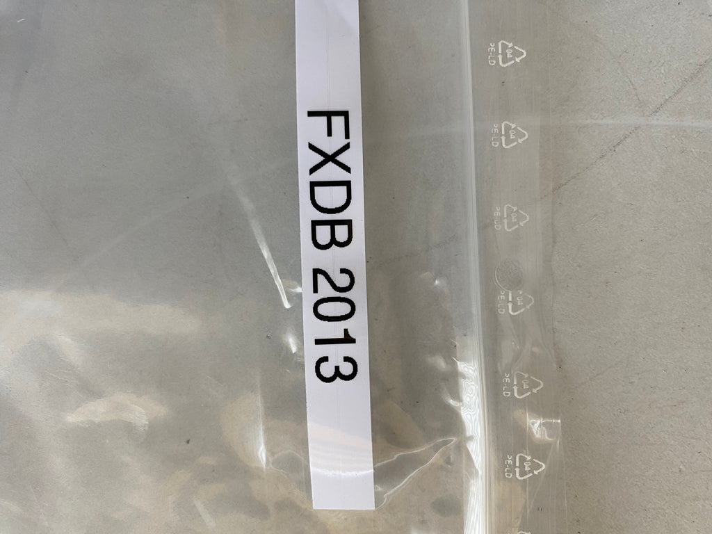 ECM Harley Davidson REF OEM 41000006A