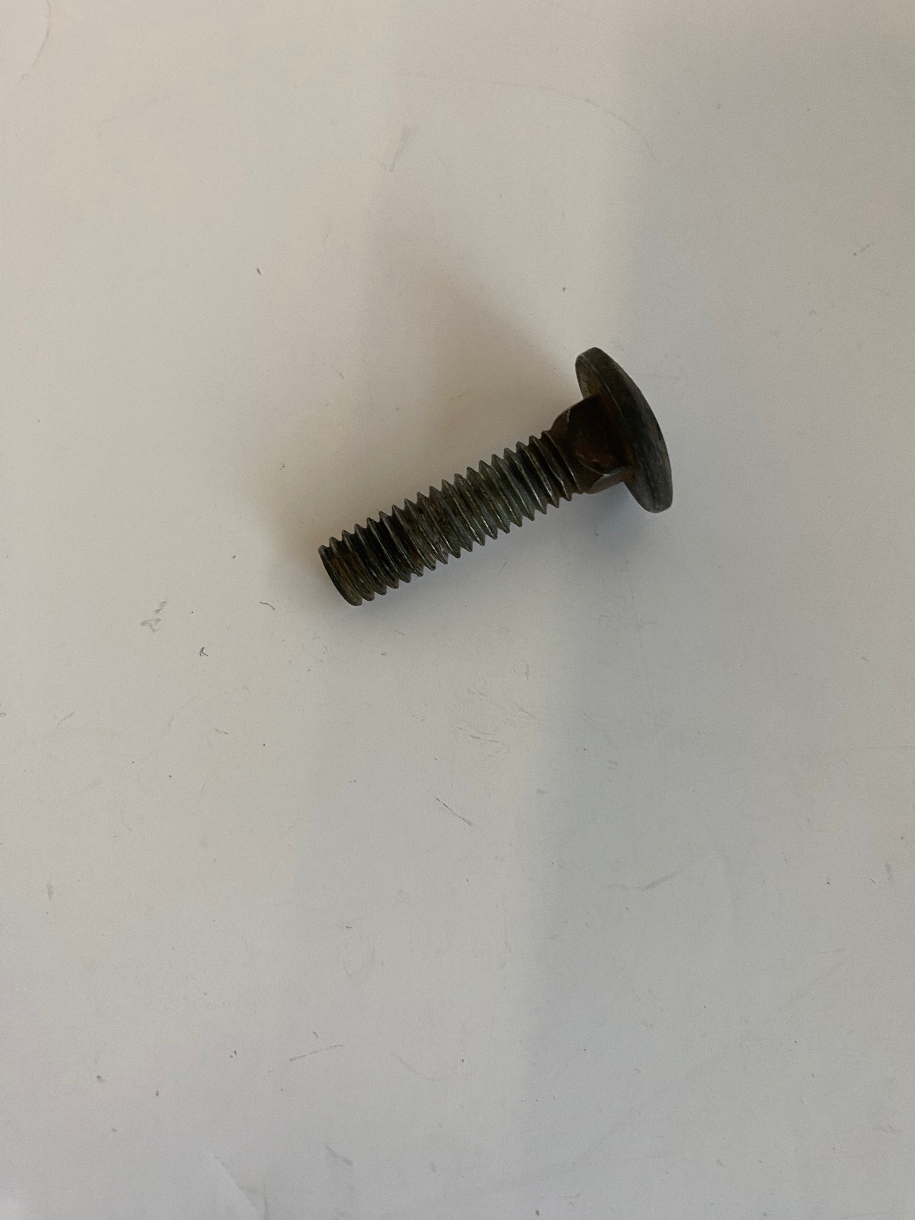 Vis de silencieux Dyna Harley Davidson REF OEM 5445W