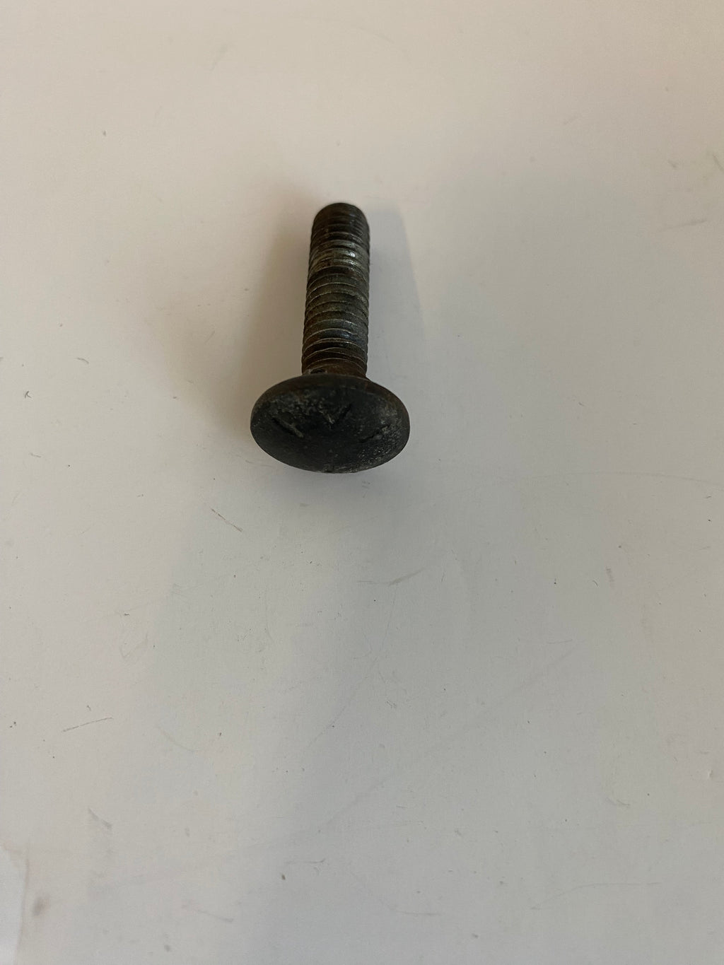 Vis de silencieux Dyna Harley Davidson REF OEM 5445W