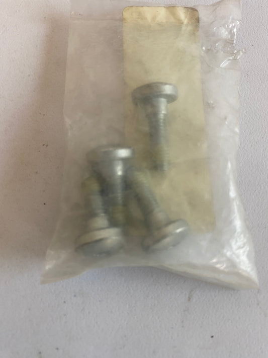 BUELL front brake disc screw REF OEM: CA0014.02A8