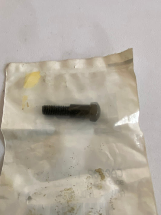 Clutch lever axle screw BUELL OEM REF: CA0002.T