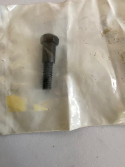 Clutch lever axle screw BUELL OEM REF: CA0002.T