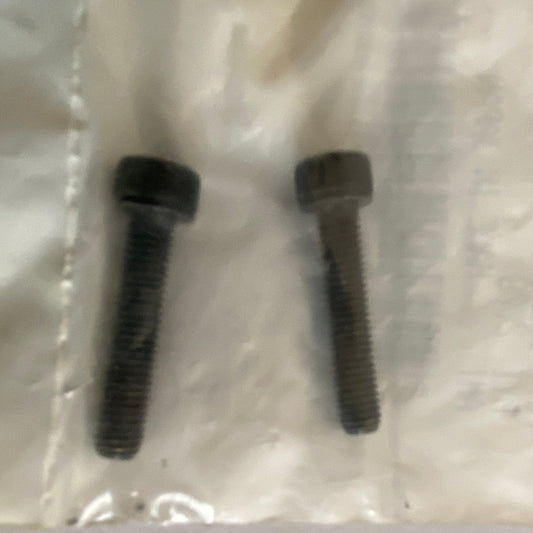 BUELL switch screw OEM REF: CA0052.5AA