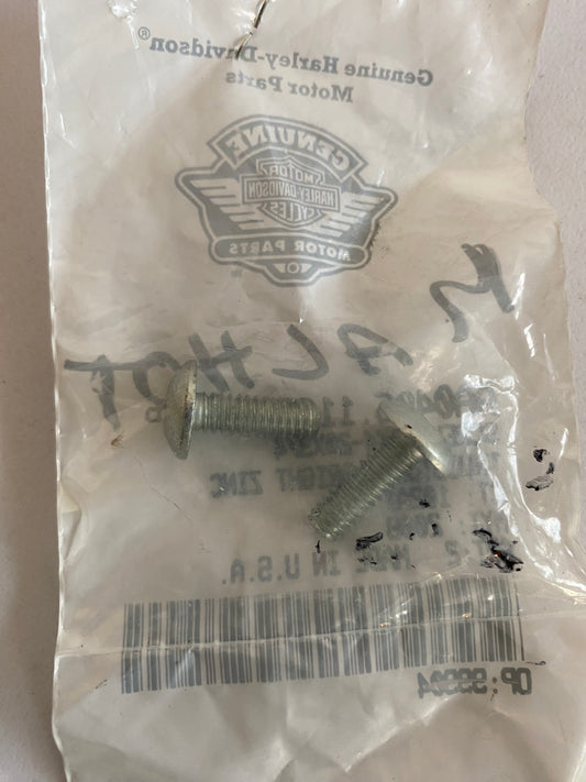 Buell front brake hose clamp screw REF OEM: AA0406.11CZB