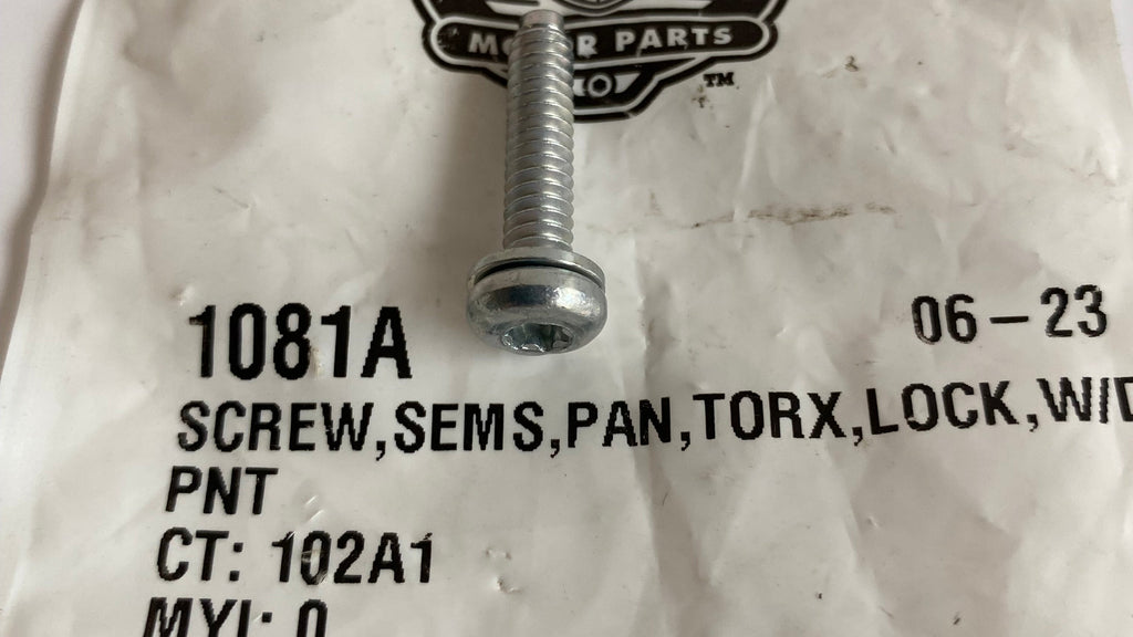 Kit de 5 vis trappe pompe a carburant Sportster Harley Davidson REF OEM 1081A
