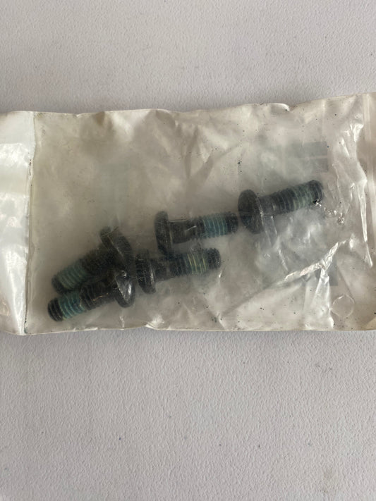BUELL front brake disc screw OEM REF: CA0005.T