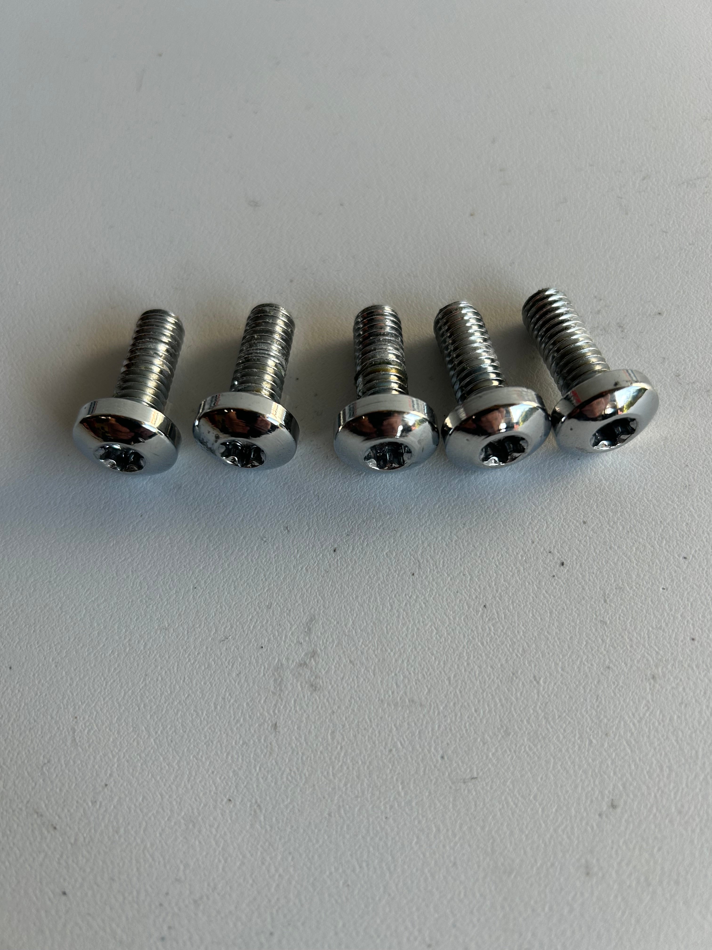 Kit of 5 chrome screws for Harley Davidson front brake disc REF 3655A
