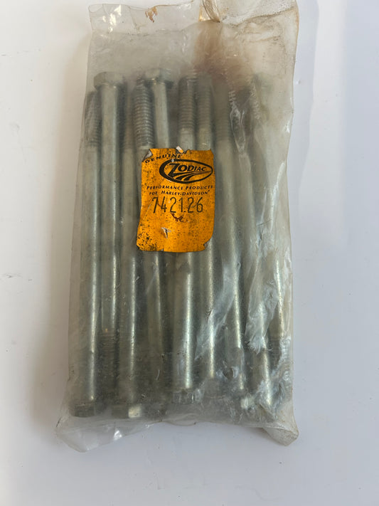 Hex screw 5/16-18 x 5 inches Harley Davidson REF Zodiac 742126