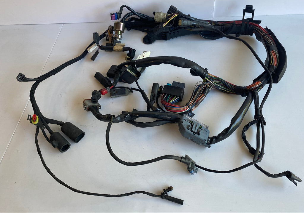 Harley Davidson Sportster Main Wiring Harness REF OEM 69200317