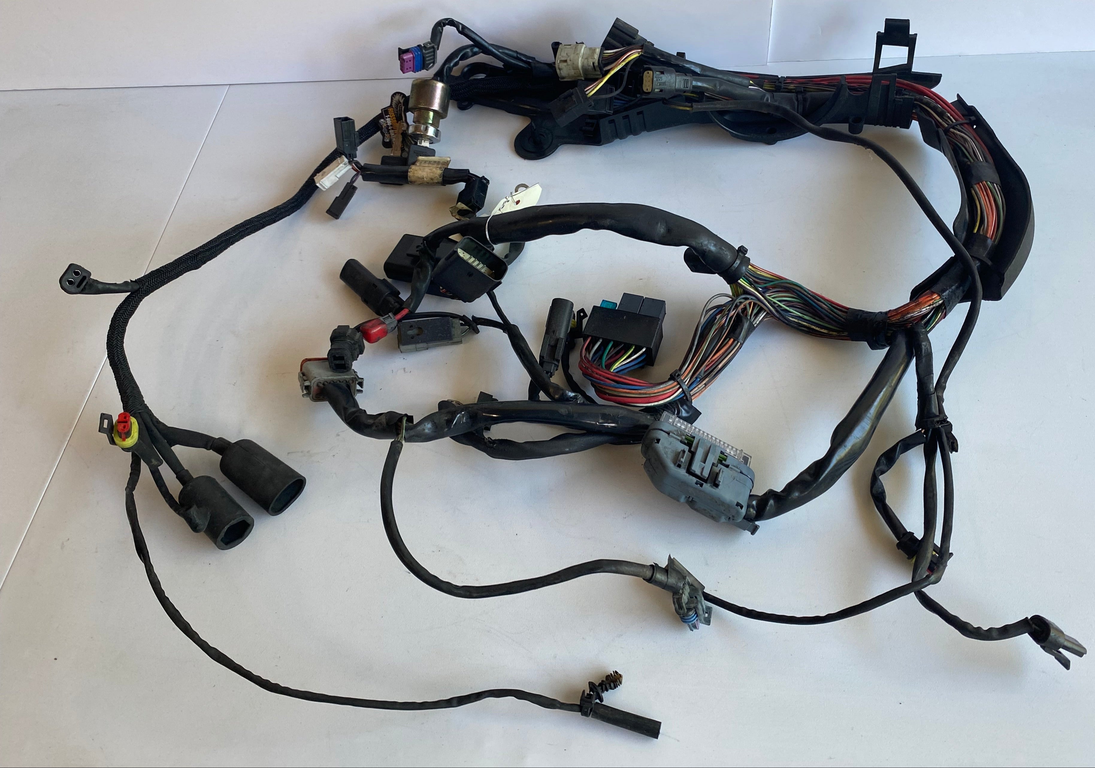 Harley Davidson Sportster Main Wiring Harness REF OEM 69200317