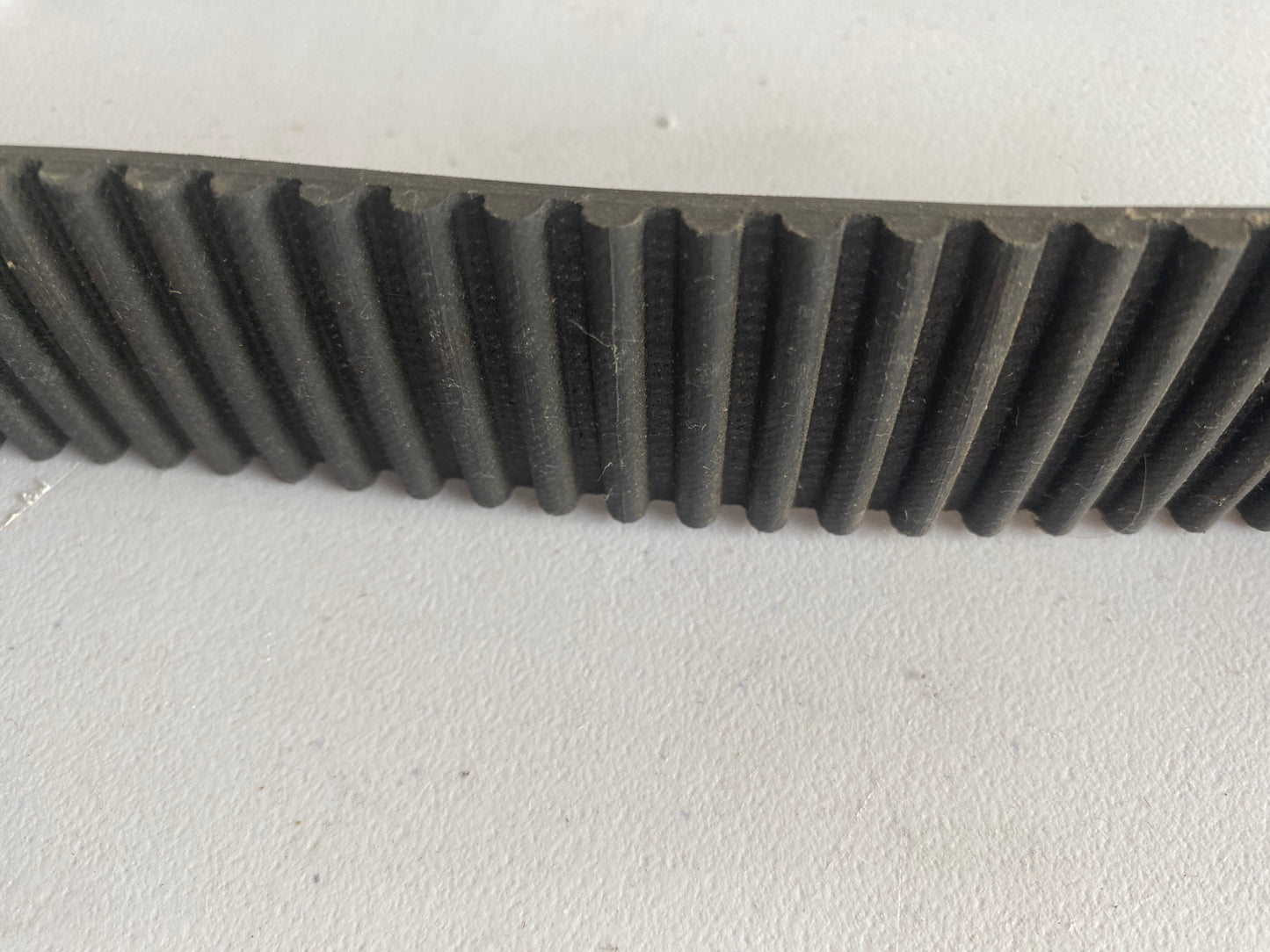 Courroie 1 1/2 transmission primaire Harley Davidson REF BDL-130K