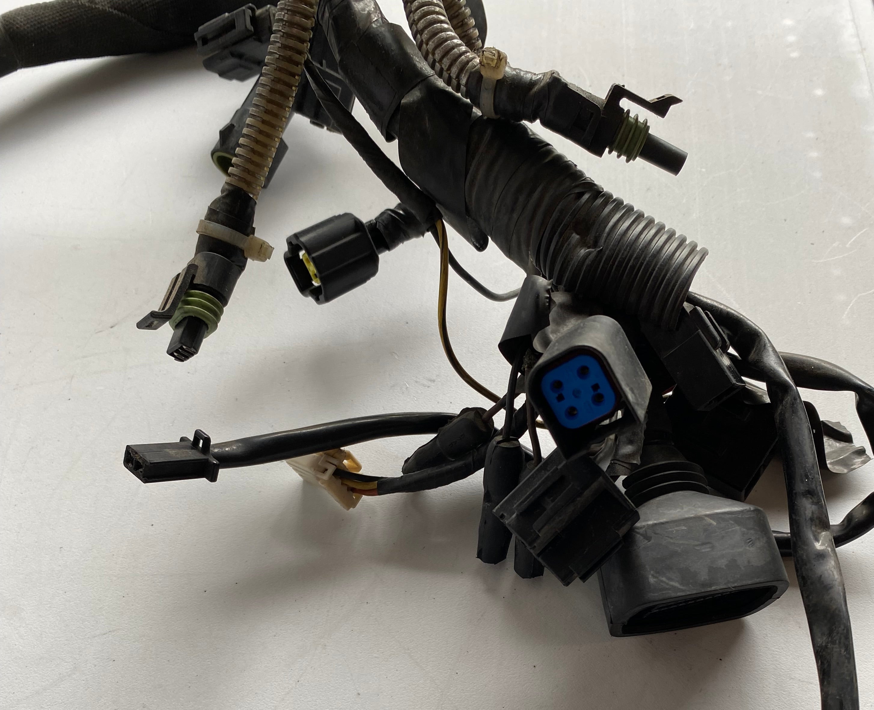 Buell XB9S 2003 Wiring Harness OEM REF: Y0136.1AD