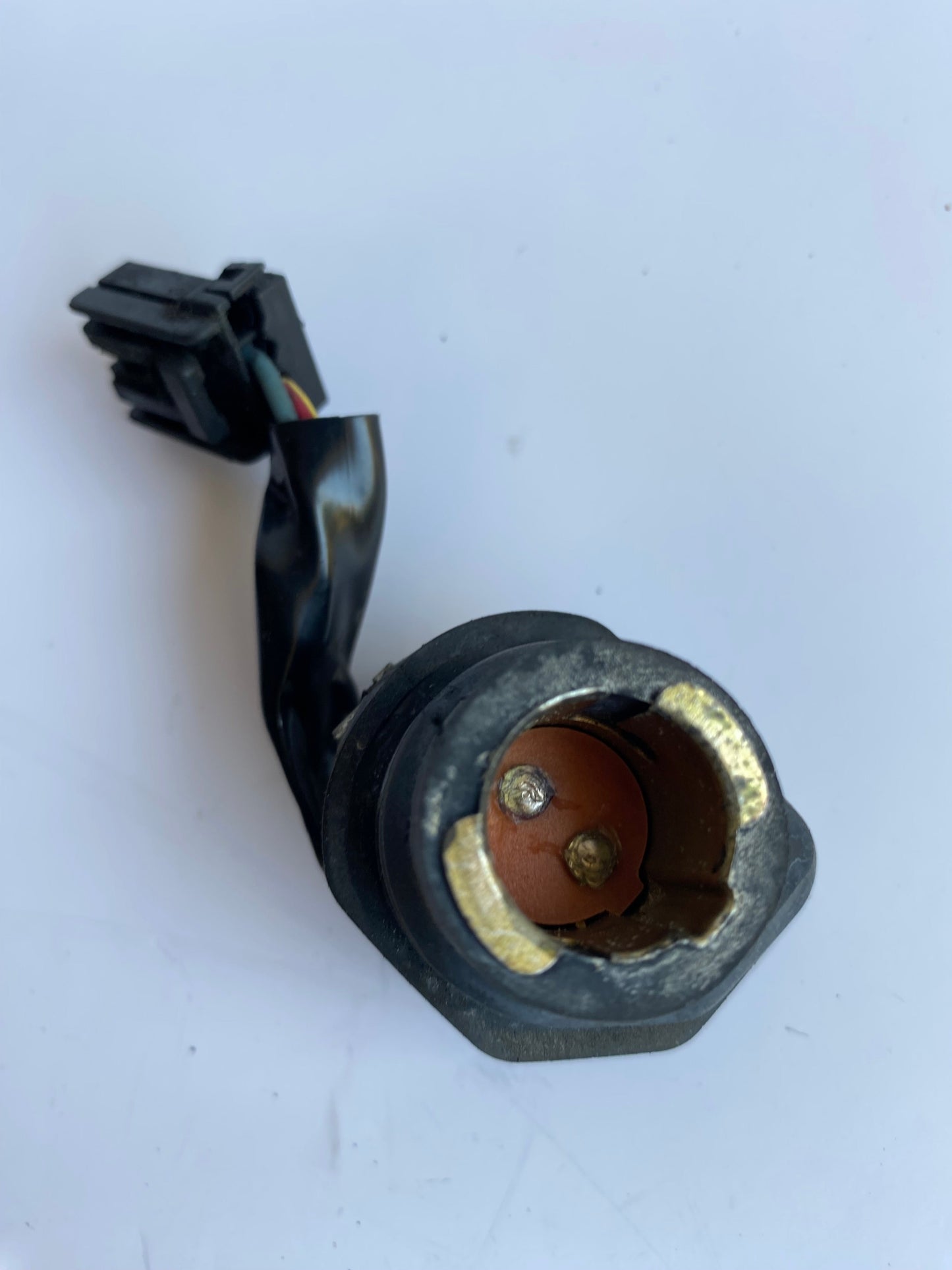 Douille feu arrière Harley Davidson REF OEM 69187-03A